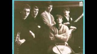 The Sonics  The Village Idiot 1965 [upl. by Rases]