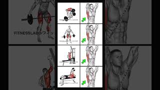 How to get a wider back exercise backworkout backday 広背筋 背中筋トレ [upl. by Erda]