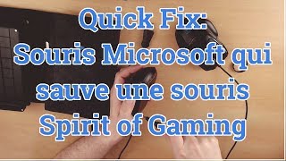 Quick Fix 1 Je démonte et remplace le câble USB de la souris Spirit of Gaming de ma soeur [upl. by Eynobe]