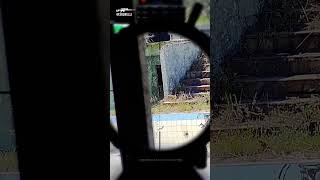 GHOST HOTEL  OPE GRISELDA MLCLTR  Airsoft Gameplay Sniper Rules [upl. by Cavallaro]