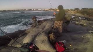 Grandes Pescadores de Orilla en Quintero [upl. by Tilagram]