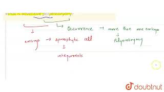 What is adventive polyembryony  CLASS 12  QUESTION BANK 2021  BIOLOGY  Doubtnut [upl. by Ally827]