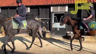 Newmarket Gallops 260823  Julia Feilden Racing [upl. by Kone]