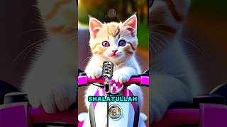 Sholatullah Salamullah Kucing Sholawatan Sholawat Badar Merdu kucinglucu kucingshalawat [upl. by Inaluiak838]