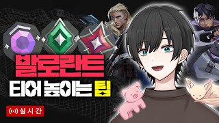 6 발로란트 뉴비 1vs1로 강습 팁 알려드려요 채팅다 읽고 답해드려요 헿 [upl. by Cannice706]