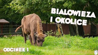 Białowieża Podlasie Co warto zobaczyć [upl. by Lasky197]