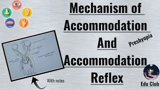 Accommodation Of Eye  Accommodation Reflex  Presbyopia  Special Senses Physiology [upl. by Eelyak754]