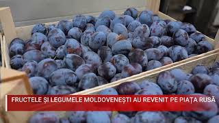 FRUCTELE ȘI LEGUMELE MOLDOVENEȘTI AU REVENIT PE PIAȚA RUSĂ [upl. by Sabsay]