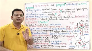 Opioid Analgesic amp Antagonist Part 03  Classification MOA and Pharmacological Effect of Opioid [upl. by Nnaacissej]