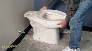 How to Fix a Leaky Toilet For Dummies [upl. by Aicargatla]