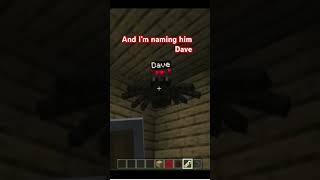 When a spider gets on your ceiling in Minecraft… spiderdave [upl. by Rosamund]