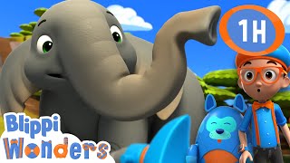 🐘 Blippi learns about Elephants🐘  Animals for Kids  Animal Cartoons  Funny Cartoons [upl. by Sonitnatsnoc]