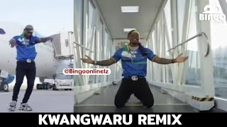 Harmonize  MAGUFULI Video Analysis [upl. by Warrin]