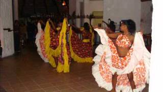 Jocelyn PERREAU  Viré Viré Séga Mauricien  Mauritius Sega Dance [upl. by Eneleuqcaj934]