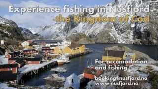 Nusfjord Lofoten  the seasonal Cod fisheries [upl. by Mcmahon238]