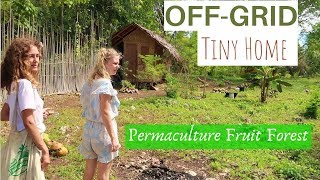 Aussie Couple Living OffGrid In the Philippines  Growing A Permaculture Fruit Forest [upl. by Hewitt]