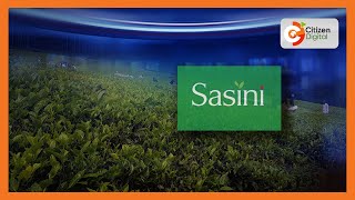 Sasini to cut emissions as part of decarbonization efforts [upl. by Isidore]