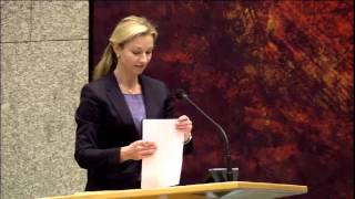 Lilian Helder  Vereenvoudiging en digitalisering van het procesrecht 2015 [upl. by Herm]