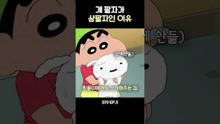 흰둥이가 상팔자인 이유 짱구 [upl. by Eerhs672]