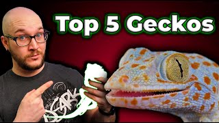 Top 5 BEST Geckos  Perfect Pets In A Small Package [upl. by Eixor]