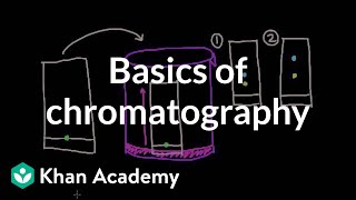 Basics of chromatography  Chemical processes  MCAT  Khan Academy [upl. by Budde]