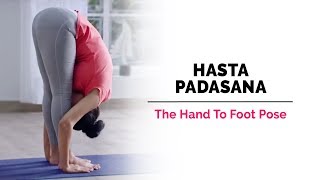 Hasta Padasana  HandToFootPose  Steps  Benefits  Yogic Fitness [upl. by Hainahpez]