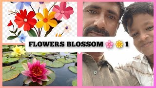 Flower Blossom 🌸🌼 1Revanvlogs24 [upl. by Bigler]