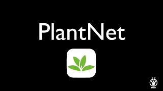 TUTO PLANTNET [upl. by Elias]