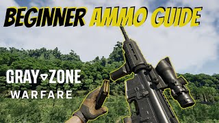 Grayzone Warfare Beginners Ammo Guide [upl. by Helga343]