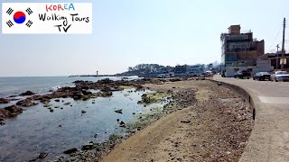 Scenic Coastal Stroll In Korea  Haedong Yonggungsa Temple To Songjeong Beach 4k [upl. by Yaf]