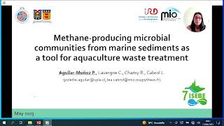 AGUILAR Polette Methaneproducing microbial communities from marine sediments as a tool [upl. by Medina78]