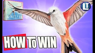 WINGSPAN Game  HOW DO YOU WIN With An AVERAGE START  STRATEGY Tips and Ideas [upl. by Kasevich]