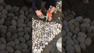 Posatore di sassi di fiume al lavoro stone patio skills skill tiktok trend pebbles concrete [upl. by Ecinaej]