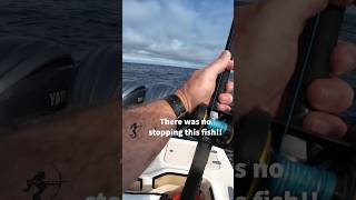 Getting Spooled by a Yellowtail With FinsNSpines fishing fishinglife yellowtail kingfish [upl. by Aitetel262]