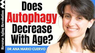 Does AUTOPHAGY Decrease With Age  Dr Ana Maria Cuervo Interview Clips [upl. by Daphna]