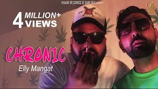 CHRONIC  Elly Mangat Feat Paul G  Veet Baljit   Haani Records  Punjabi Song 2020 [upl. by Berni]