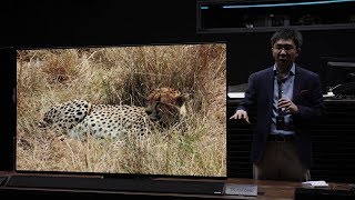 Panasonic FZ950 amp FZ800 Are Worlds 1st HDR10 OLED TV Sets [upl. by Haldes970]