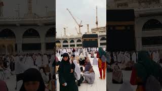 🌹masjid Al Haram makkah 🥀❤ shorts short🤲🙏🕋🌹sajid vlog ♥ Makkah live [upl. by Sarge]