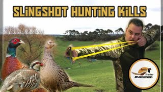 Slingshot hunting pheasant and partridge [upl. by Maximilian]