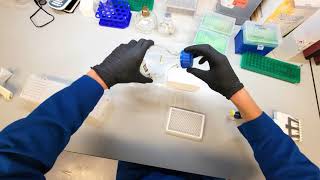 POV Flow Cytometer Fundamentals [upl. by Jehu43]