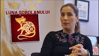 Zodiacul chinezesc cu Anca Dimancea despre decembrie luna Șobolanului [upl. by Brower]