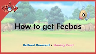 How to get Feebas in Pokemon Brilliant Diamond amp Shining Pearl 349 [upl. by Nuj274]