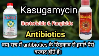 Kasub । kasub antibiotics । kasugamycin । Kasub bactericide and fungicide ki Puri jankari [upl. by Eniluqaj]