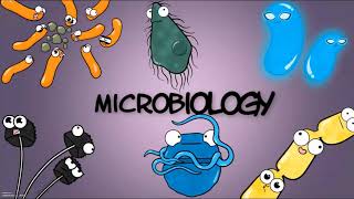 Bacteriën  BIOLOGIE [upl. by Drarreg]