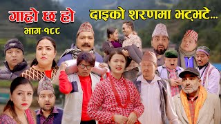 दाइको शरणमा भट्भटे II Garo Chha Ho II Episode 188 II Feb 05 2024 II Begam Nepali II Riyasha Dahal [upl. by Inavoj731]