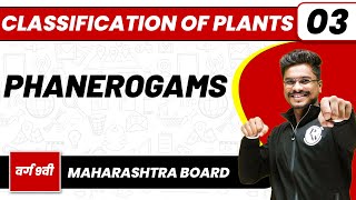 CLASSIFICATION OF PLANTS 03  Phanerogams  Biology  Class 9thMaharashtra Board [upl. by Sauls272]