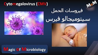 Cytomegalovirus CMV فيروسات الحمل سيتوميجالو فيرس [upl. by Philan]