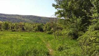 Appalachian Trail Pochuck Boardwalk to Pinwheel Vista [upl. by Franchot616]