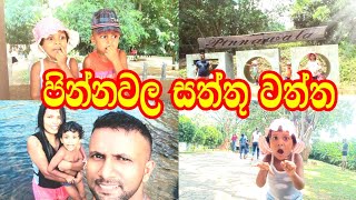 Pinnawala Zoo  පින්නවල සත්තු වත්ත [upl. by Kirschner573]