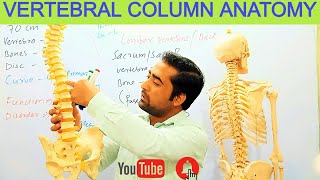 Vertebral column OR Back Bone Anatomy FunctionCervical Thoracic Lumbar SacrumBy Dr Shahid Alam [upl. by Sidras]